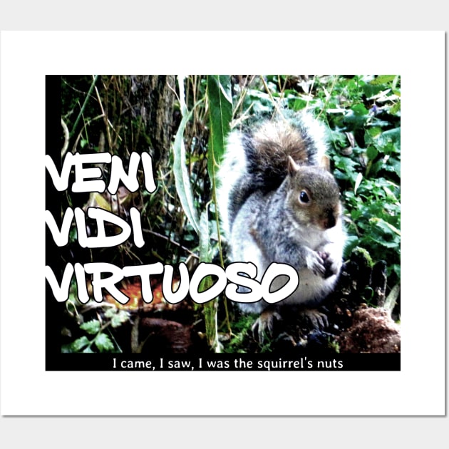 Veni Vidi Virtuoso - I came, I saw, I was the squirrel’s nuts Wall Art by soitwouldseem